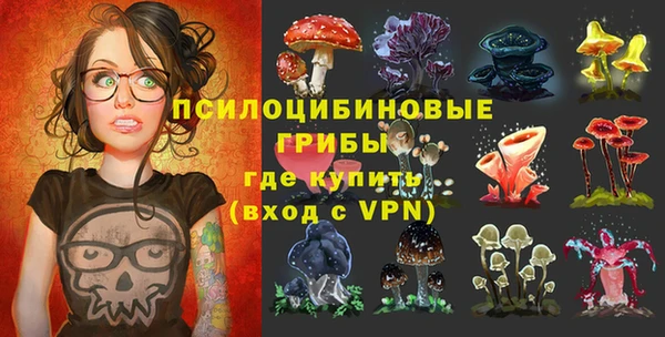 ALPHA-PVP Кинешма