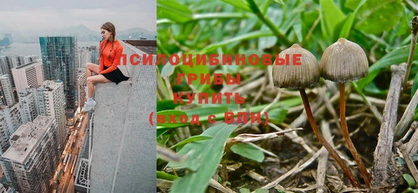 mdpv Киреевск