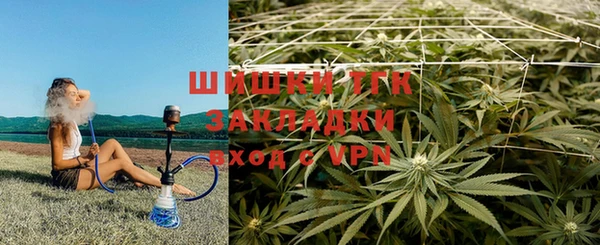 mdpv Киреевск