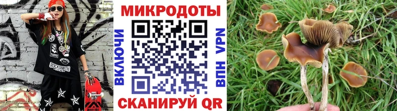 Псилоцибиновые грибы Cubensis Мценск