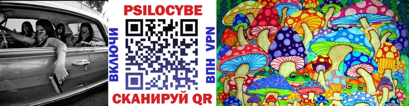 Псилоцибиновые грибы мицелий  Купить  Мценск 